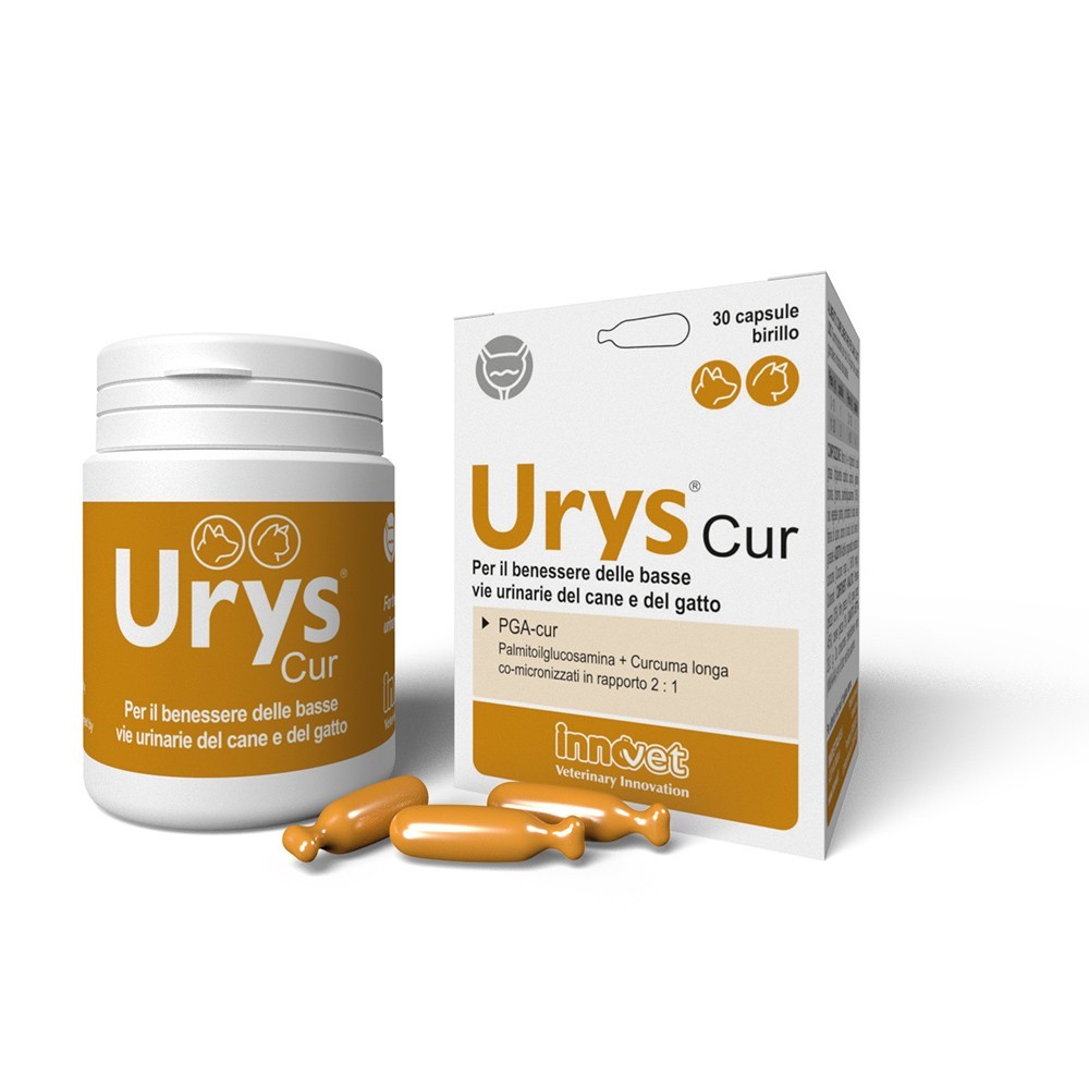 URYS CUR 30 COMPRESSE