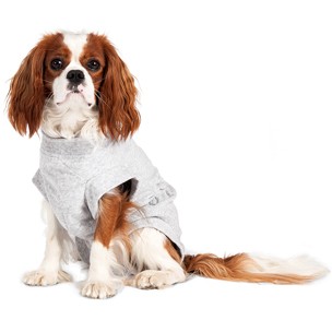 SAFETY BODY GRIGIO 29 CM