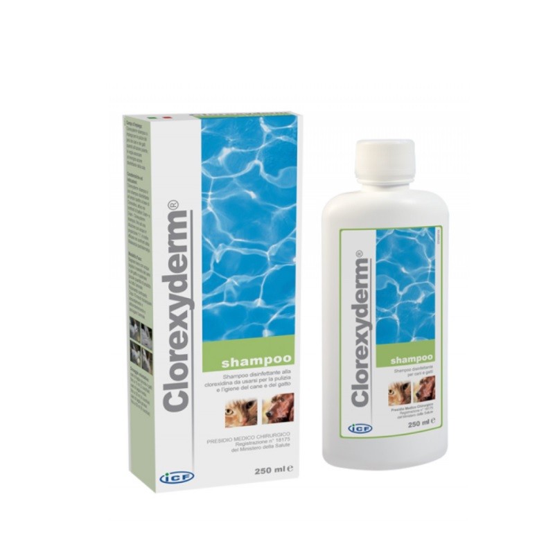 CLOREXYDERM SHAMPOO ML250