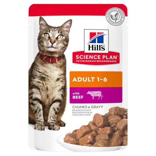 HILL'S GATTO ADULT BUSTE MANZO GR 85X12