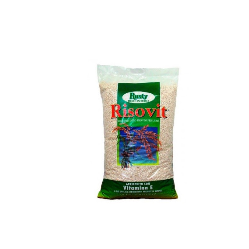 RUSTY  RISOVIT  KG 1