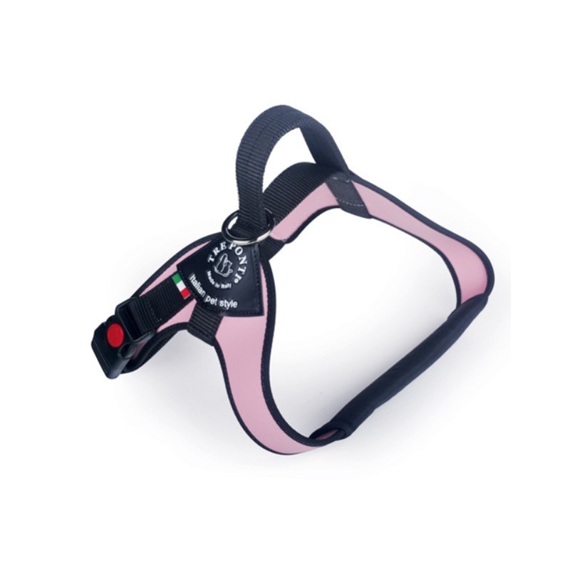 Pett. cani tg. grande Bordo rifrang. MIS. XL ROSA