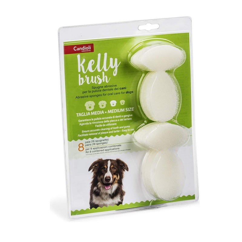 KELLY BRUSH TG MEDIA