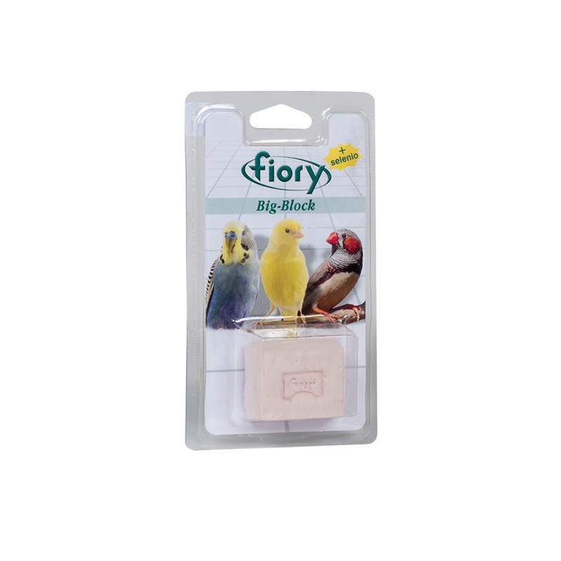 FIORY BIG-BLOCK CANARINI GR 55