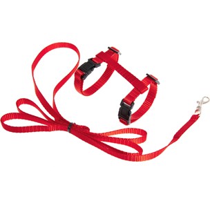 PETTORINA PER GATTINO + GUINZAGLIO ZIGGI ROSSO cm 120 mm 10