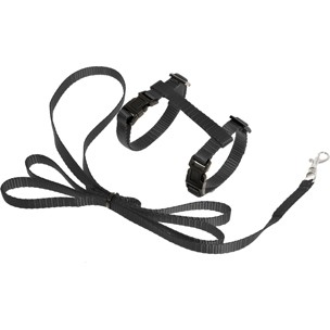 PETTORINA PER GATTINO + GUINZAGLIO ZIGGI NERO cm 120 mm 10