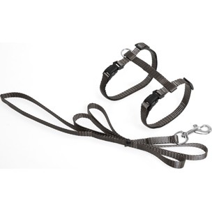 PETTORINA PER GATTO + GUINZAGLIO ZIGGI GRIGIO TALPA mm 20-30 mm 10