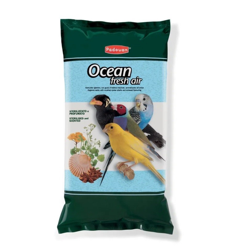 PADOVAN SABBIA OCEAN FRESH ALL'ANICE KG 5