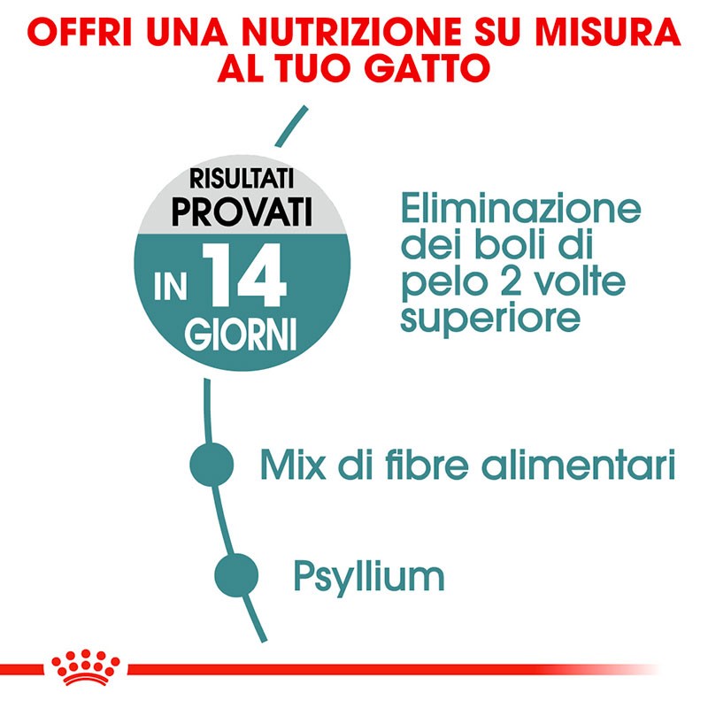 ROYAL CANIN GATTO HAIRBALL CARE KG 2