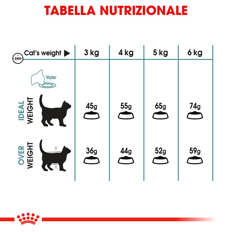 ROYAL CANIN GATTO HAIRBALL CARE KG 2