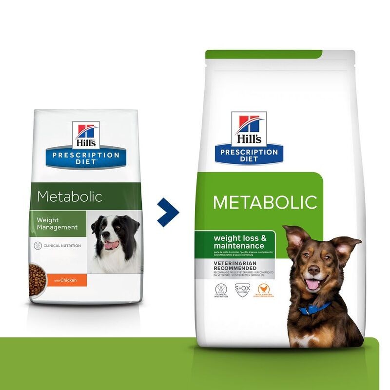 HILL'S PRESCRIPTION DIET CROCCHETTE CANE METABOLIC KG 10