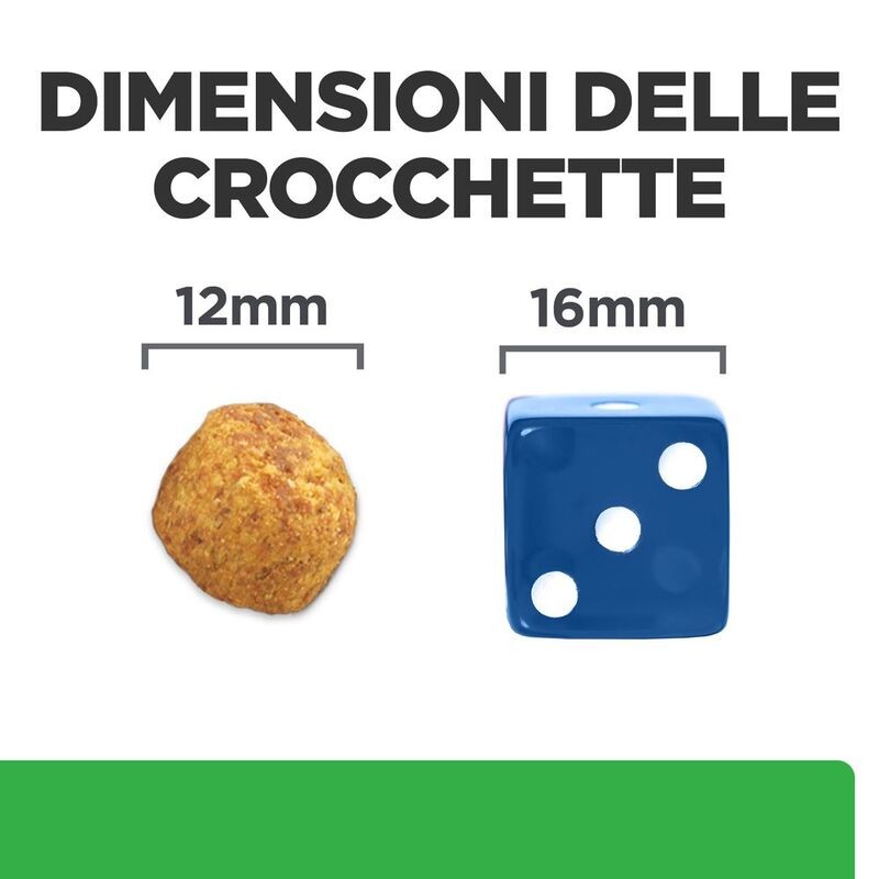 HILL'S PRESCRIPTION DIET CROCCHETTE CANE R/D KG 1,5