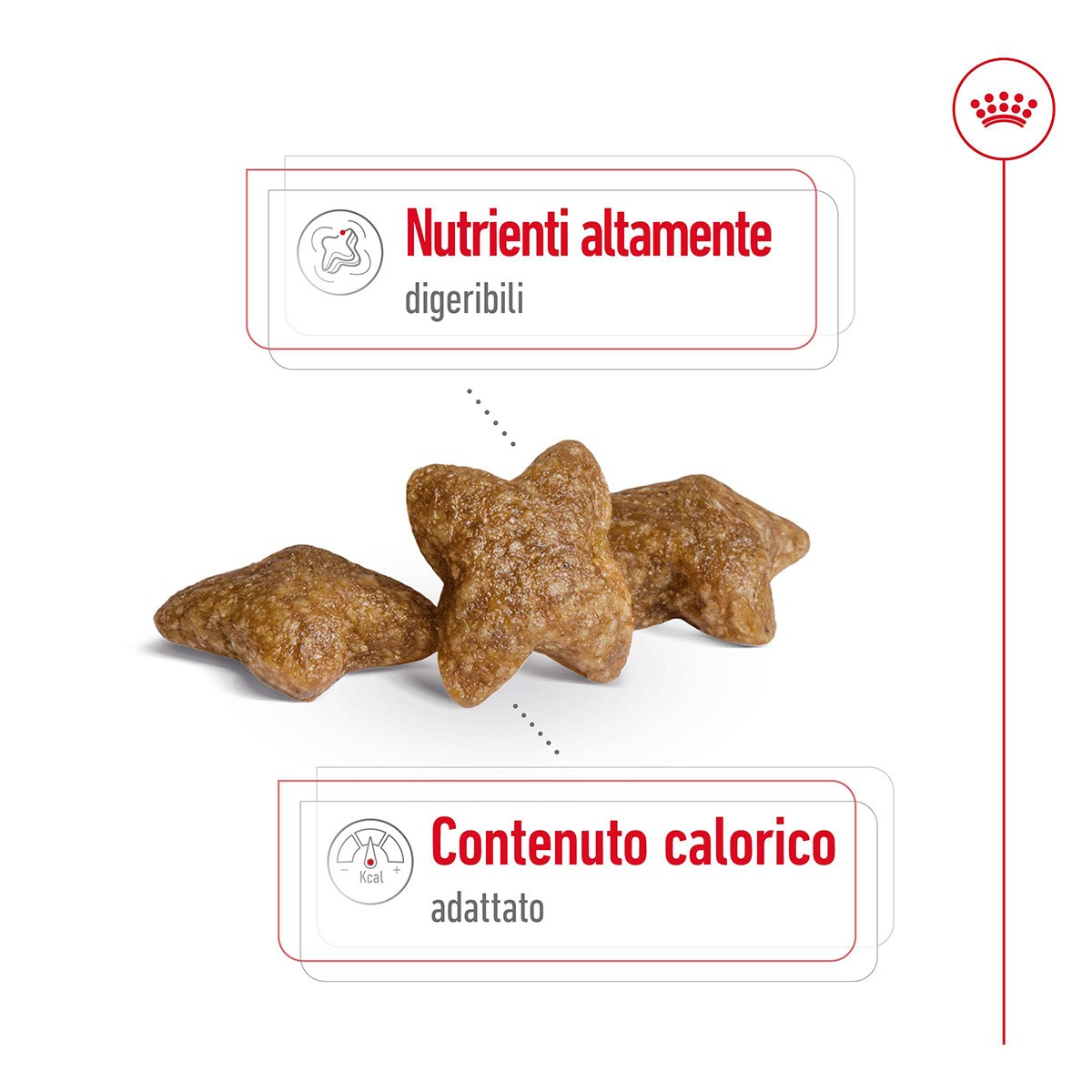 ROYAL CANINÂ® SIZE HEALTH NUTRITION MINI ADULT KG 2 - Alimento secco per cani adulti di taglia piccola (fino a 10 kg)