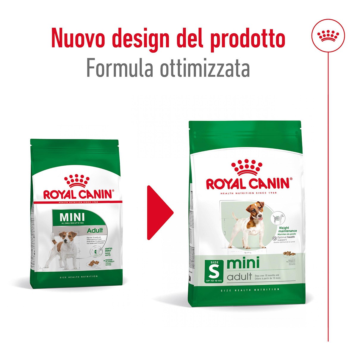 ROYAL CANINÂ® SIZE HEALTH NUTRITION MINI ADULT KG 2 - Alimento secco per cani adulti di taglia piccola (fino a 10 kg)