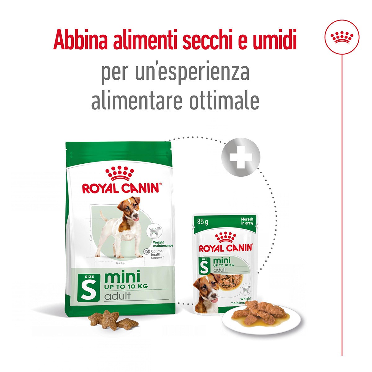 ROYAL CANINÂ® SIZE HEALTH NUTRITION MINI ADULT KG 8- Alimento secco per cani adulti di taglia piccola (fino a 10 kg)