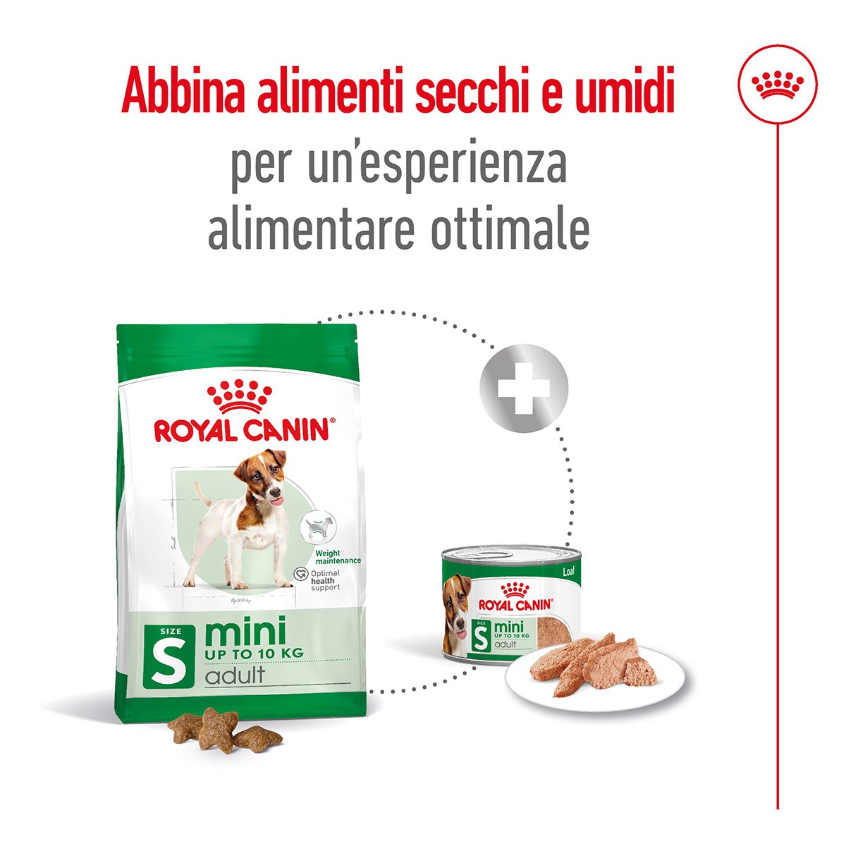 ROYAL CANINÂ® SIZE HEALTH NUTRITION MINI ADULT KG 8- Alimento secco per cani adulti di taglia piccola (fino a 10 kg)