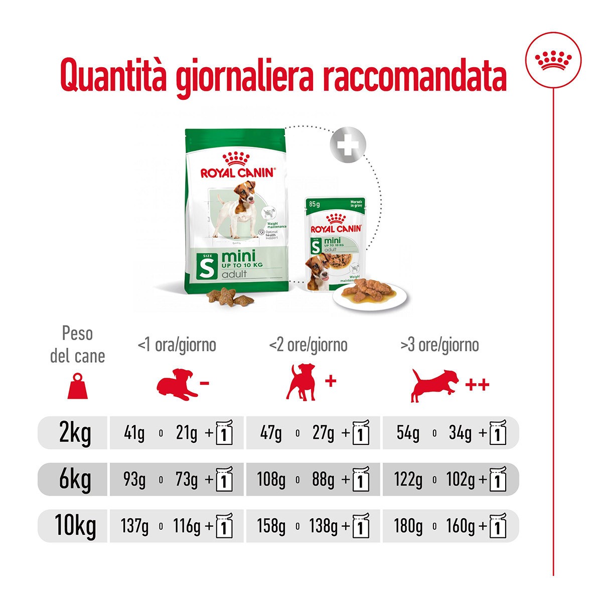 ROYAL CANINÂ® SIZE HEALTH NUTRITION MINI ADULT KG 8- Alimento secco per cani adulti di taglia piccola (fino a 10 kg)