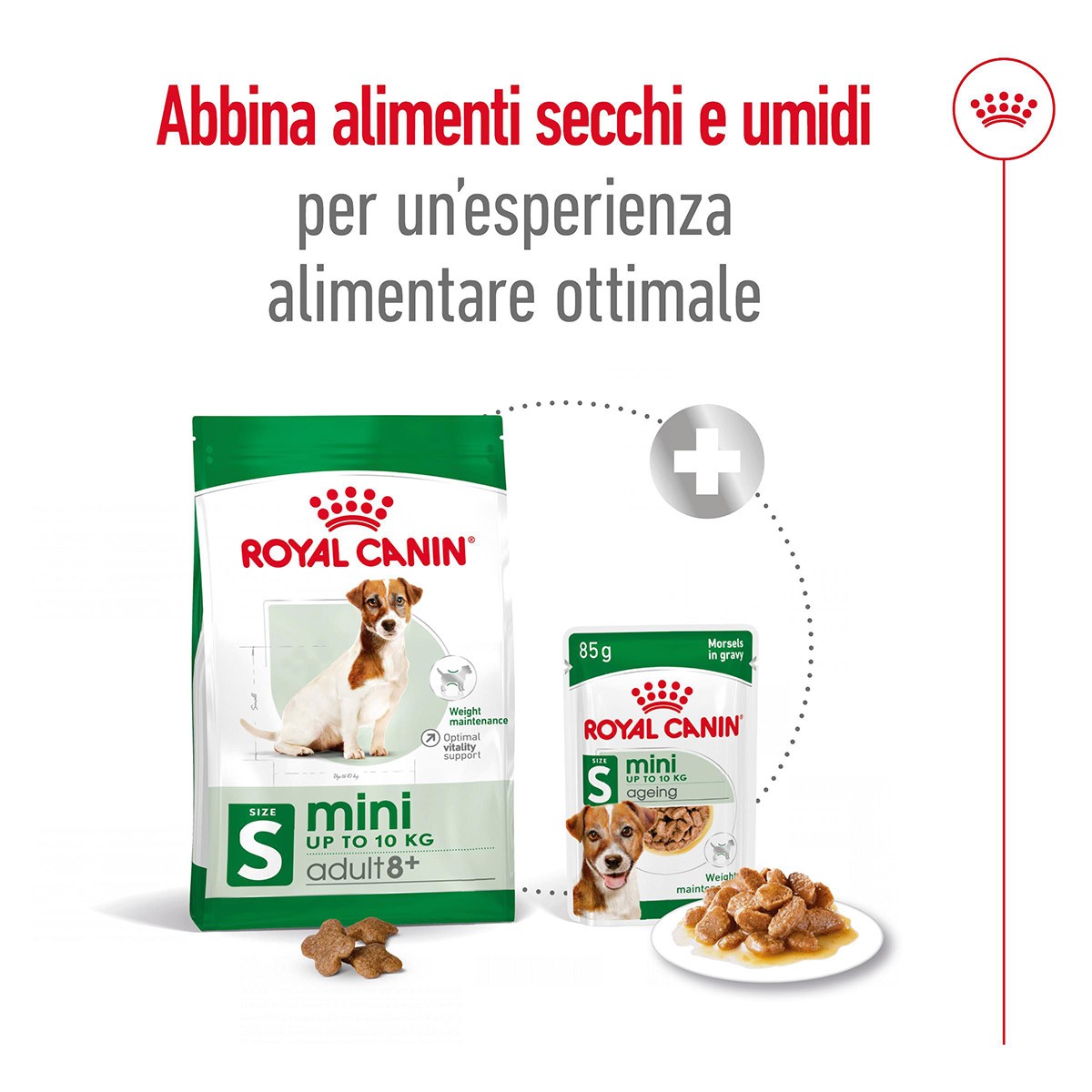 ROYAL CANINÂ® SIZE HEALTH NUTRITION MINI ADULT 8+ GR 800 - Alimento secco per cani maturi di taglia piccola (fino a 10 kg)