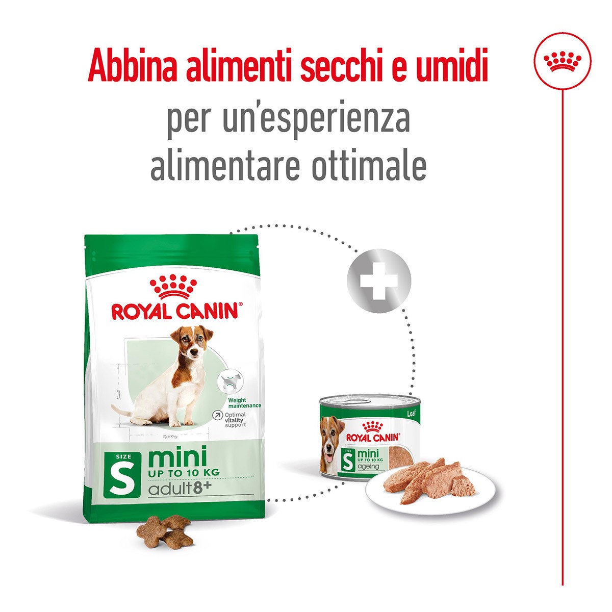 ROYAL CANINÂ® SIZE HEALTH NUTRITION MINI ADULT 8+ GR 800 - Alimento secco per cani maturi di taglia piccola (fino a 10 kg)
