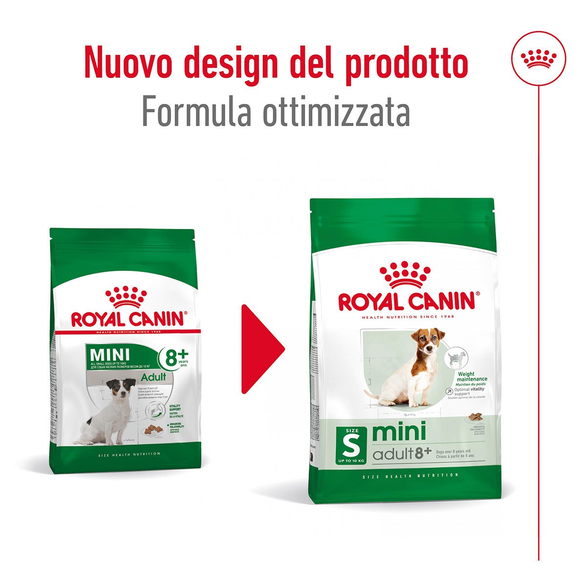 ROYAL CANINÂ® SIZE HEALTH NUTRITION MINI ADULT 8+ GR 800 - Alimento secco per cani maturi di taglia piccola (fino a 10 kg)