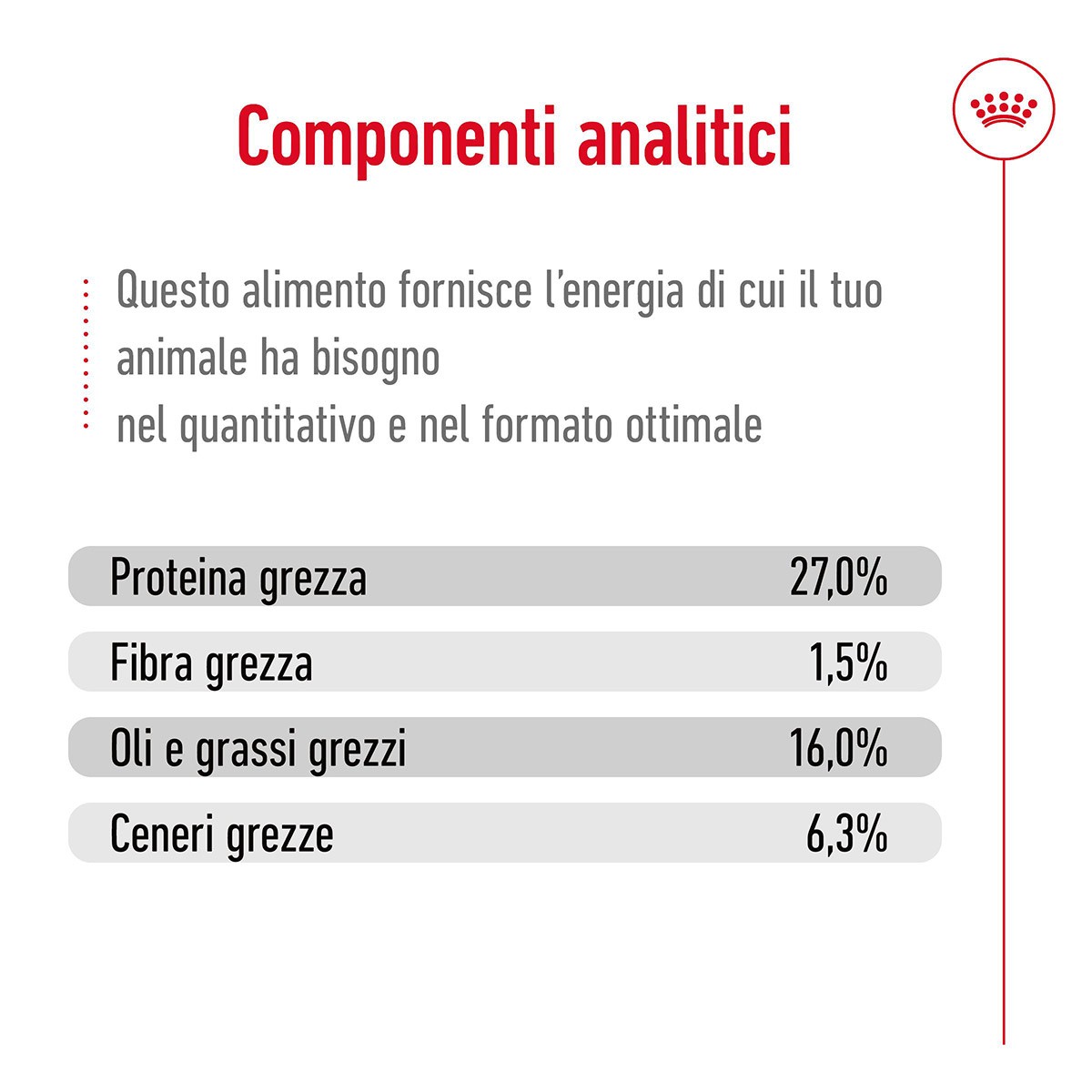 ROYAL CANINÂ® SIZE HEALTH NUTRITION MINI ADULT 8+ KG 8- Alimento secco per cani maturi di taglia piccola (fino a 10 kg)