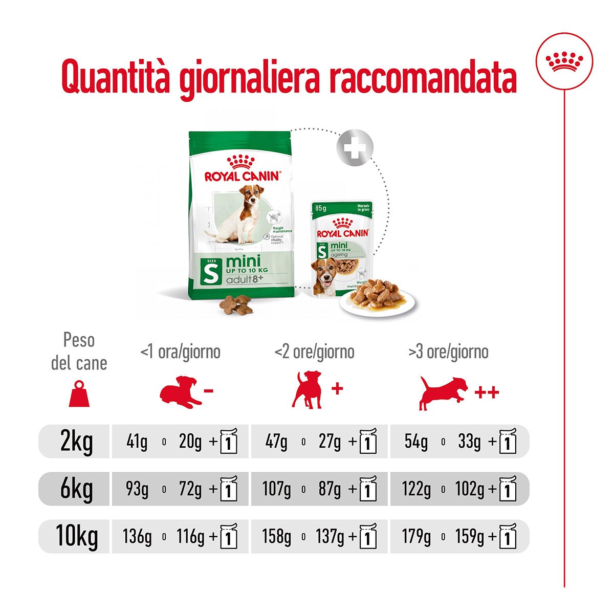 ROYAL CANINÂ® SIZE HEALTH NUTRITION MINI ADULT 8+ KG 8- Alimento secco per cani maturi di taglia piccola (fino a 10 kg)