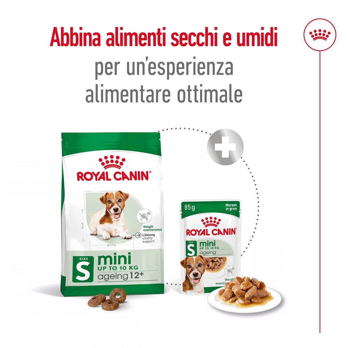 ROYAL CANINÂ® SIZE HEALTH NUTRITION MINI AGEING 12+ KG 1,5 - Alimento secco per cani anziani di taglia piccola (fino a 10 kg)