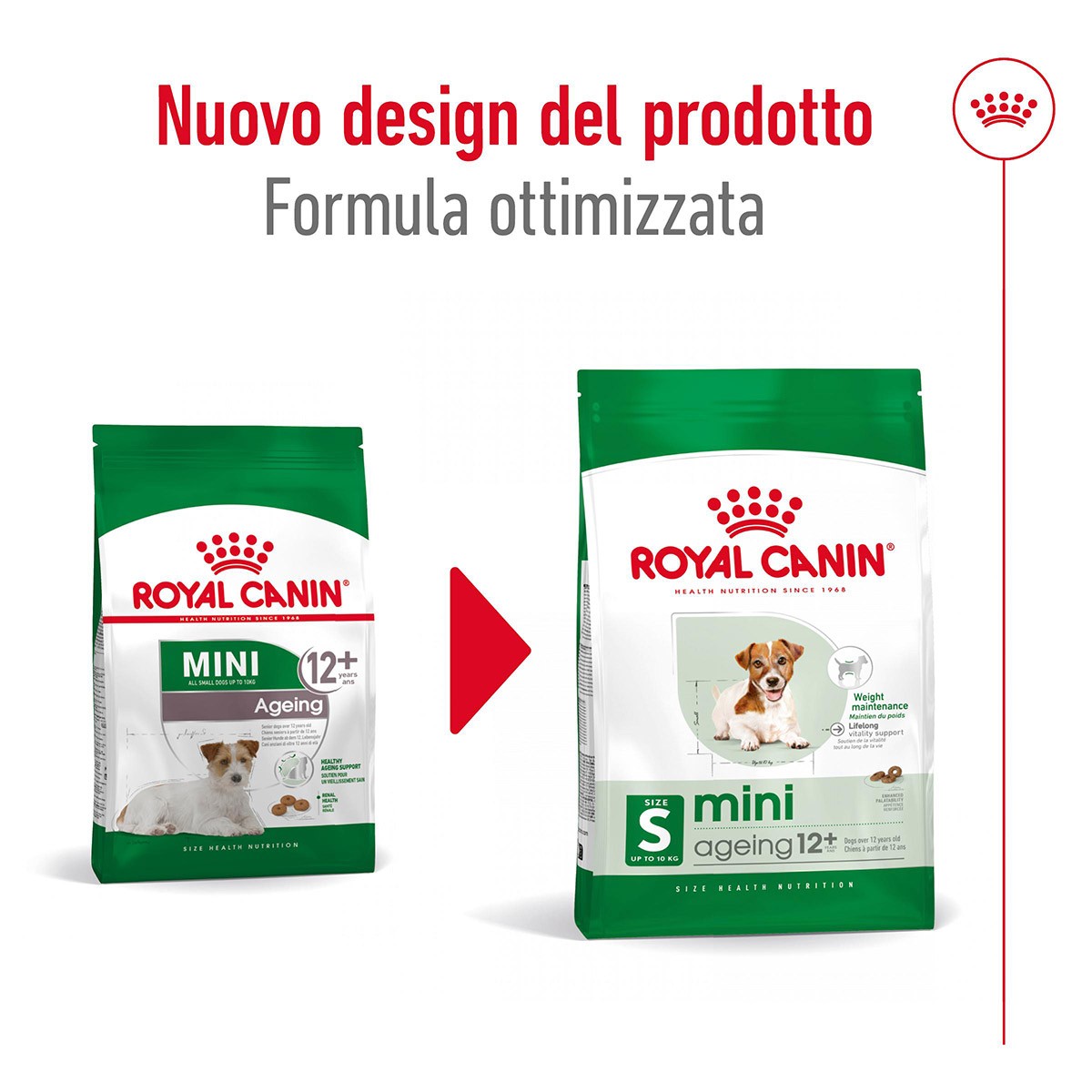 ROYAL CANINÂ® SIZE HEALTH NUTRITION MINI AGEING 12+ KG 1,5 - Alimento secco per cani anziani di taglia piccola (fino a 10 kg)