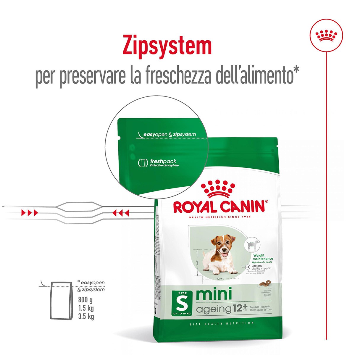 ROYAL CANINÂ® SIZE HEALTH NUTRITION MINI AGEING 12+ KG 1,5 - Alimento secco per cani anziani di taglia piccola (fino a 10 kg)