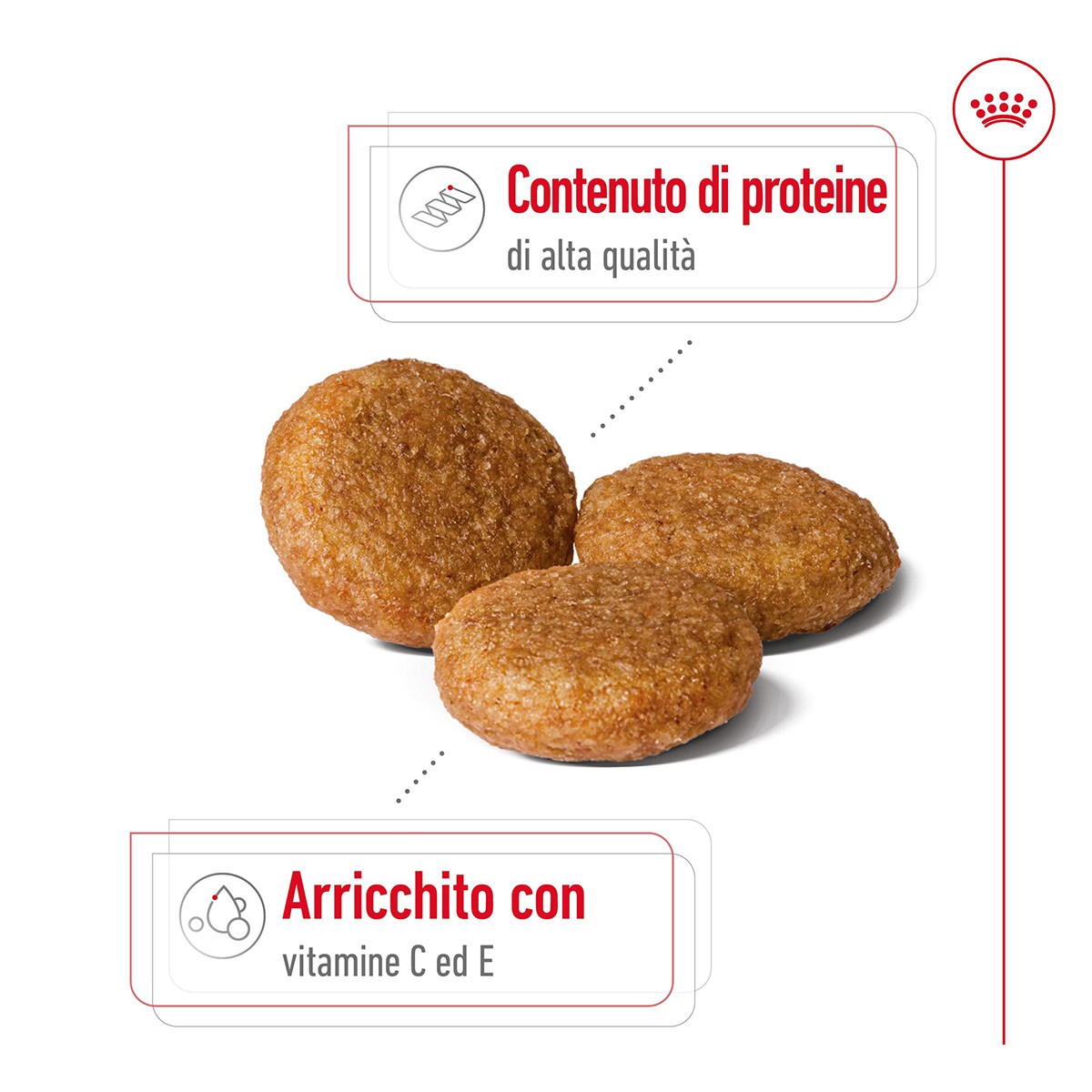 ROYAL CANINÂ® SIZE HEALTH NUTRITION MEDIUM ADULT KG 15- Alimento secco per cani adulti di taglia media (tra 11 e 25 kg)
