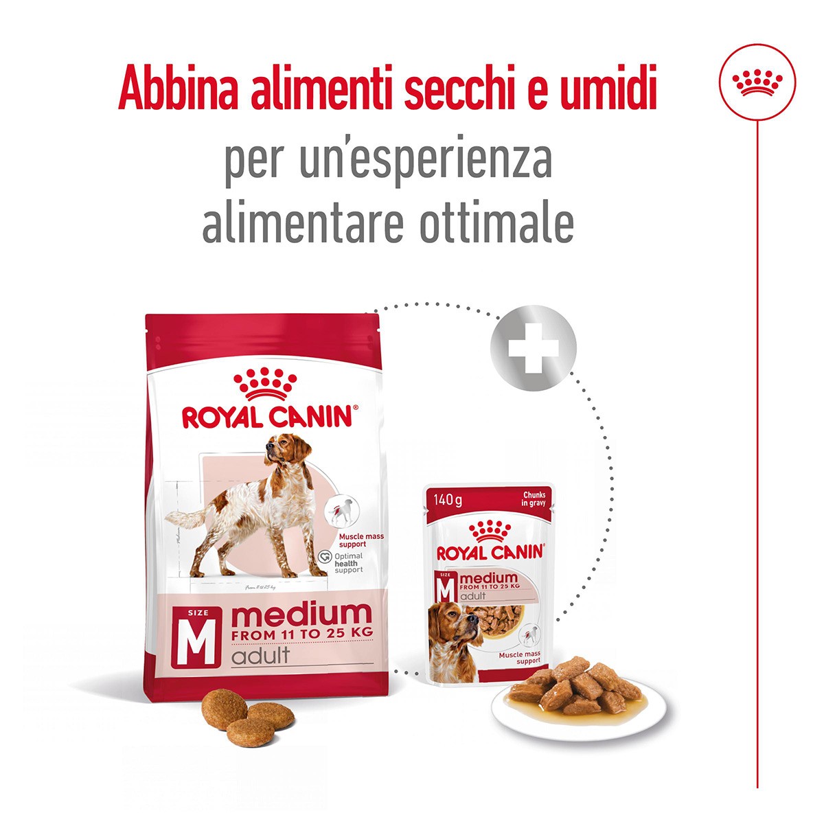 ROYAL CANINÂ® SIZE HEALTH NUTRITION MEDIUM ADULT KG 15- Alimento secco per cani adulti di taglia media (tra 11 e 25 kg)