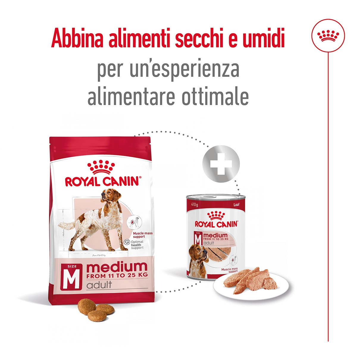 ROYAL CANINÂ® SIZE HEALTH NUTRITION MEDIUM ADULT KG 15- Alimento secco per cani adulti di taglia media (tra 11 e 25 kg)