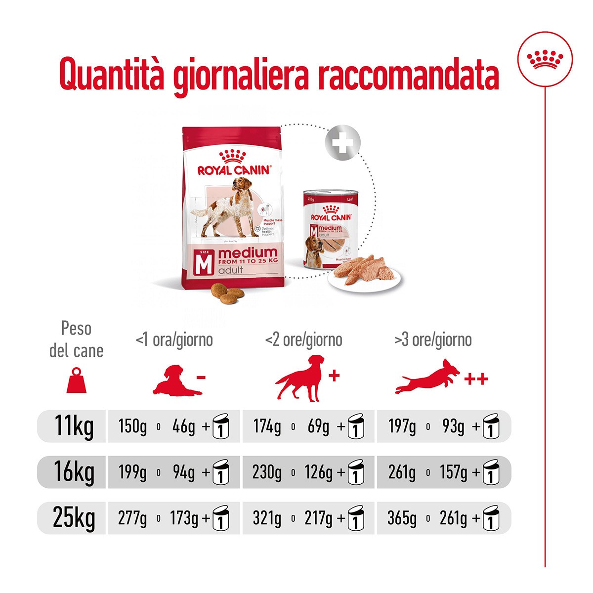 ROYAL CANINÂ® SIZE HEALTH NUTRITION MEDIUM ADULT KG 15- Alimento secco per cani adulti di taglia media (tra 11 e 25 kg)
