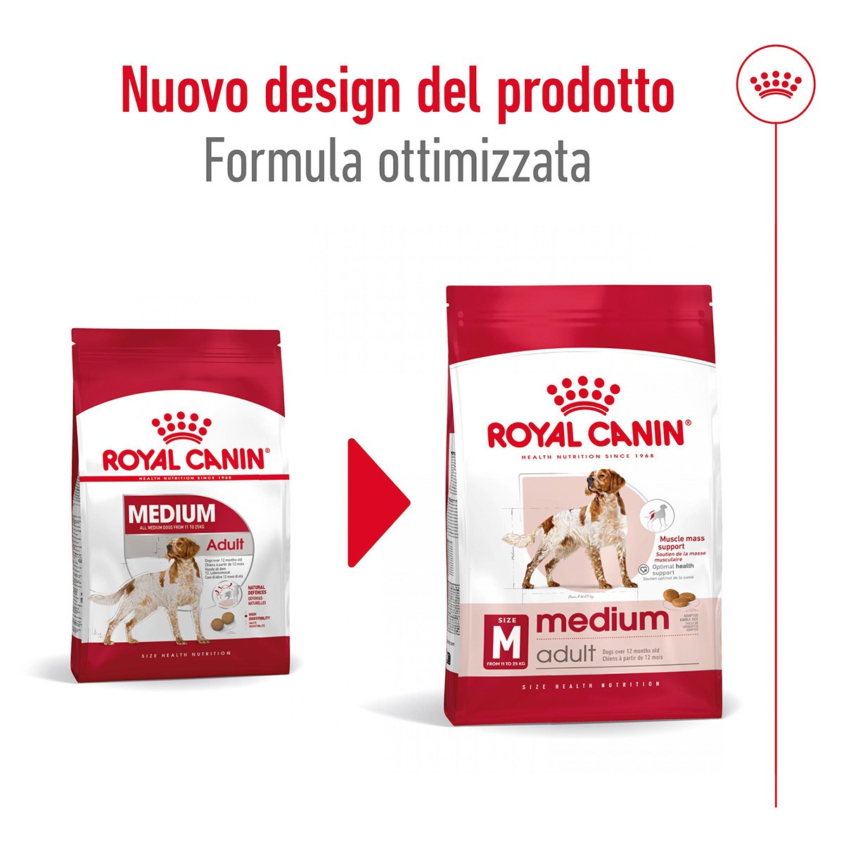 ROYAL CANINÂ® SIZE HEALTH NUTRITION MEDIUM ADULT KG 15- Alimento secco per cani adulti di taglia media (tra 11 e 25 kg)