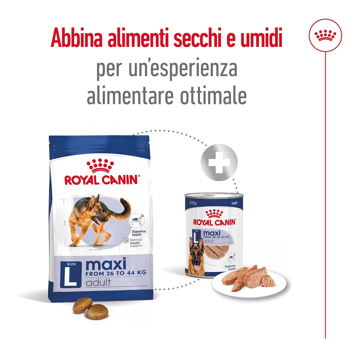 ROYAL CANINÂ® SIZE HEALTH NUTRITION MAXI ADULT KG 4 - Alimento secco per cani adulti di taglia grande (tra 26 e 44 kg)