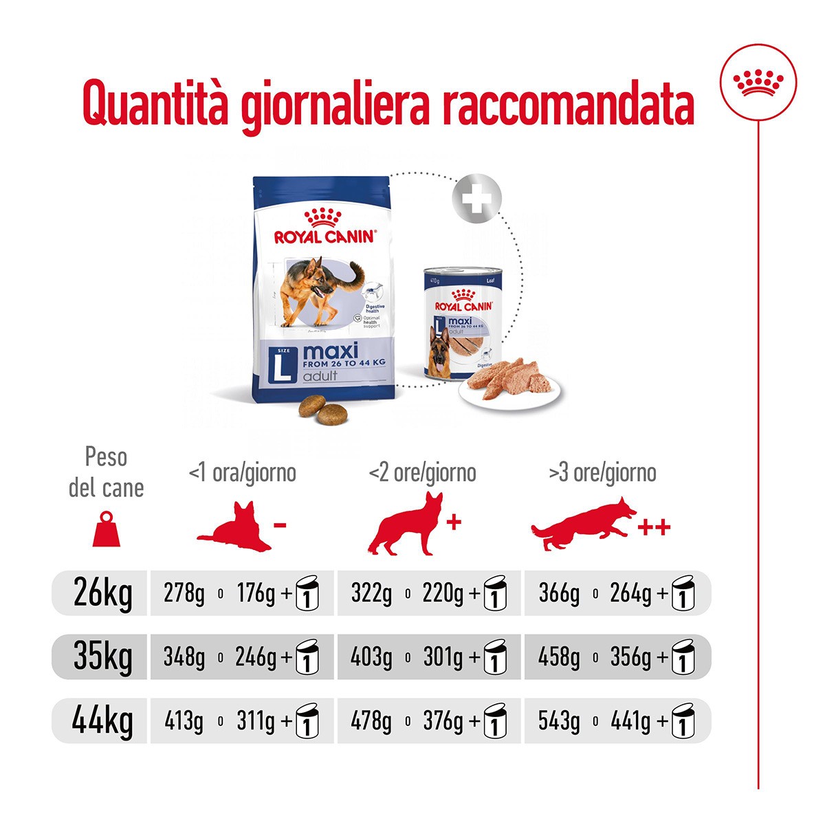 ROYAL CANINÂ® SIZE HEALTH NUTRITION MAXI ADULT KG 4 - Alimento secco per cani adulti di taglia grande (tra 26 e 44 kg)