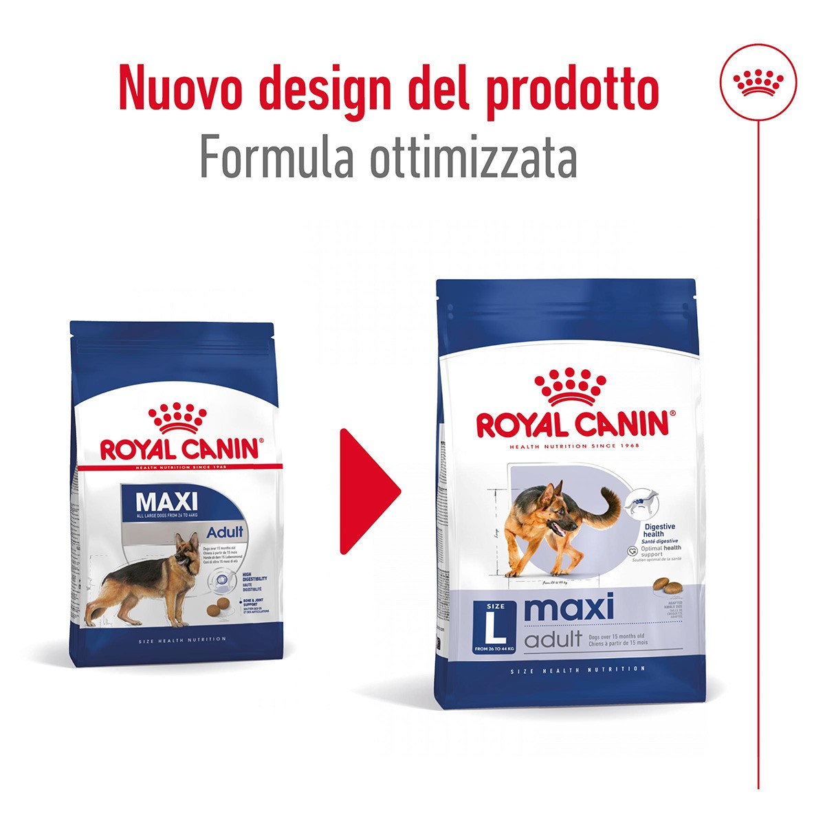 ROYAL CANINÂ® SIZE HEALTH NUTRITION MAXI ADULT KG 10 - Alimento secco per cani adulti di taglia grande (tra 26 e 44 kg)