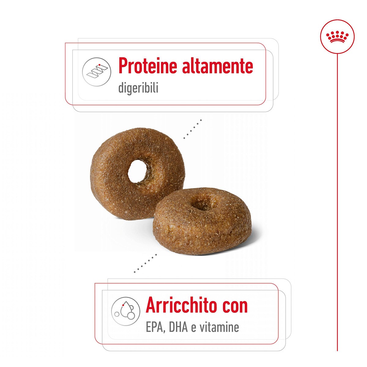 ROYAL CANINÂ® SIZE HEALTH NUTRITION MAXI AGEING 8+ KG 15 - Alimento secco per cani anziani di taglia grande (tra 26 e 44 kg)