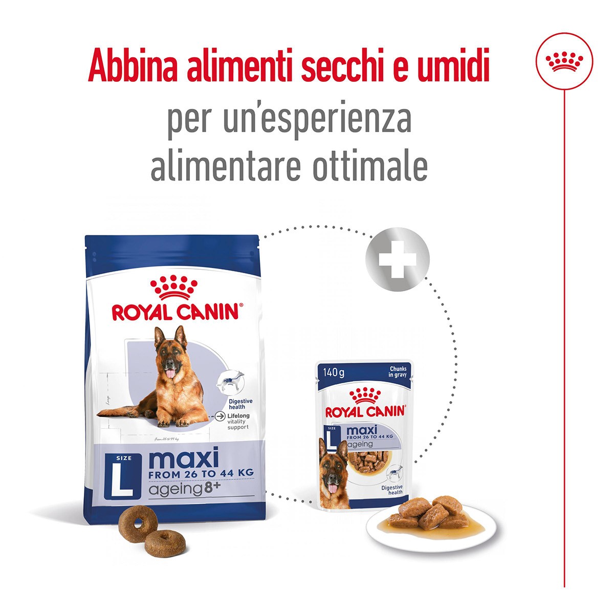 ROYAL CANINÂ® SIZE HEALTH NUTRITION MAXI AGEING 8+ KG 15 - Alimento secco per cani anziani di taglia grande (tra 26 e 44 kg)