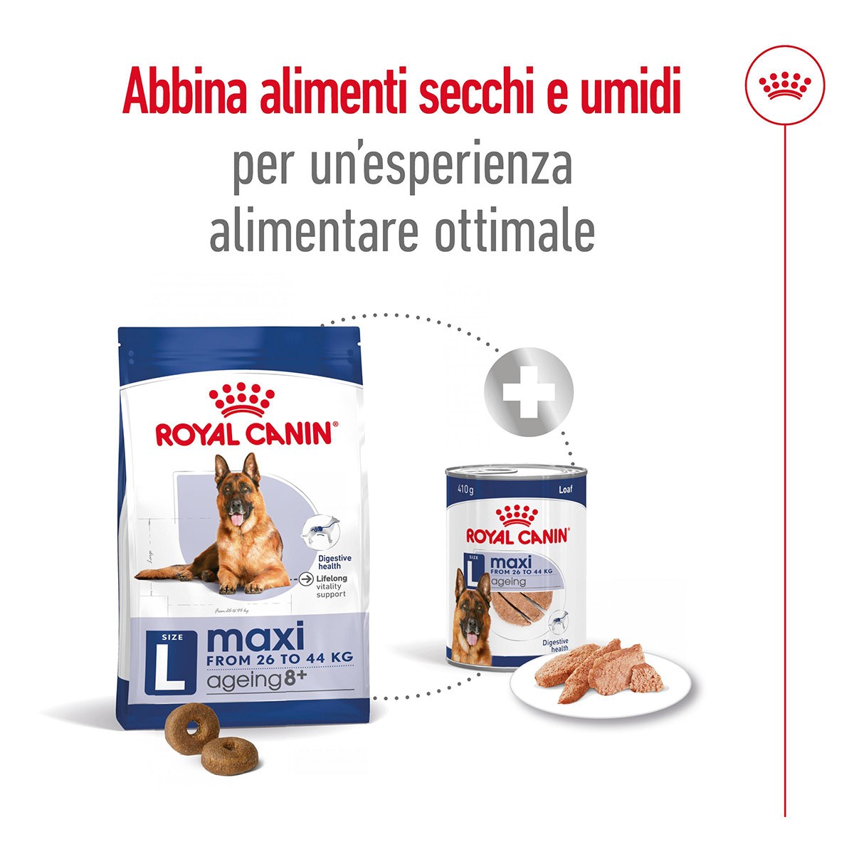 ROYAL CANINÂ® SIZE HEALTH NUTRITION MAXI AGEING 8+ KG 15 - Alimento secco per cani anziani di taglia grande (tra 26 e 44 kg)