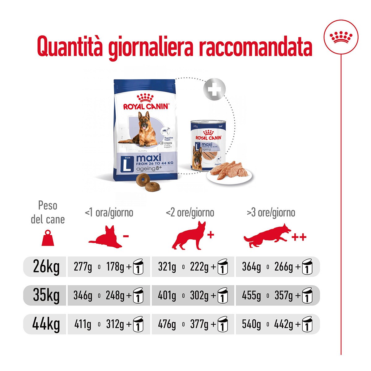 ROYAL CANINÂ® SIZE HEALTH NUTRITION MAXI AGEING 8+ KG 15 - Alimento secco per cani anziani di taglia grande (tra 26 e 44 kg)