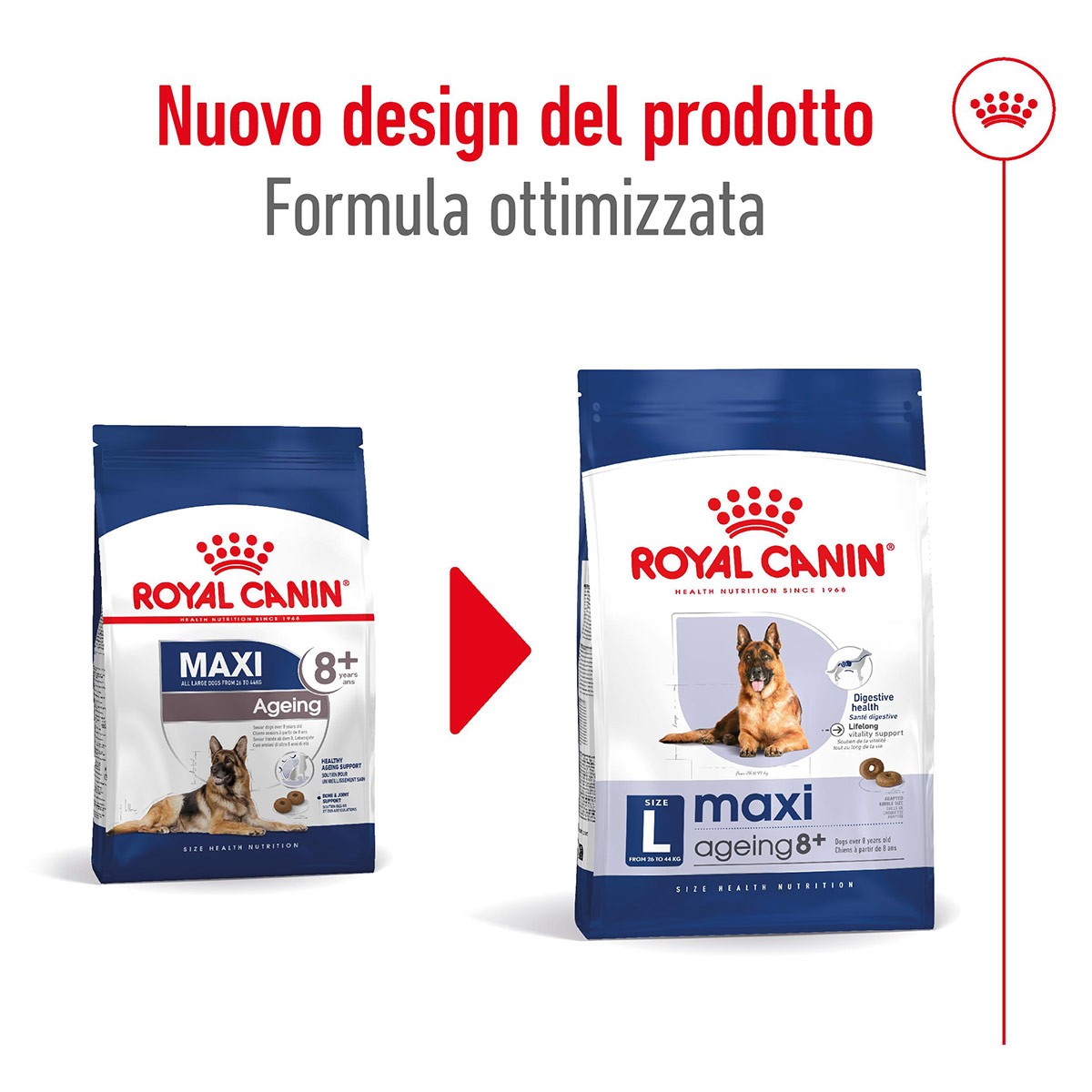 ROYAL CANINÂ® SIZE HEALTH NUTRITION MAXI AGEING 8+ KG 15 - Alimento secco per cani anziani di taglia grande (tra 26 e 44 kg)
