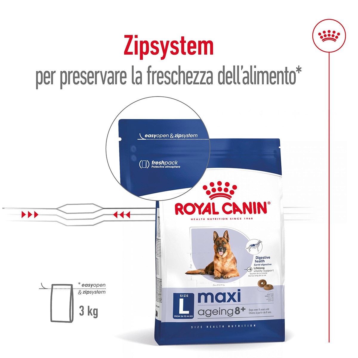 ROYAL CANINÂ® SIZE HEALTH NUTRITION MAXI AGEING 8+ KG 15 - Alimento secco per cani anziani di taglia grande (tra 26 e 44 kg)