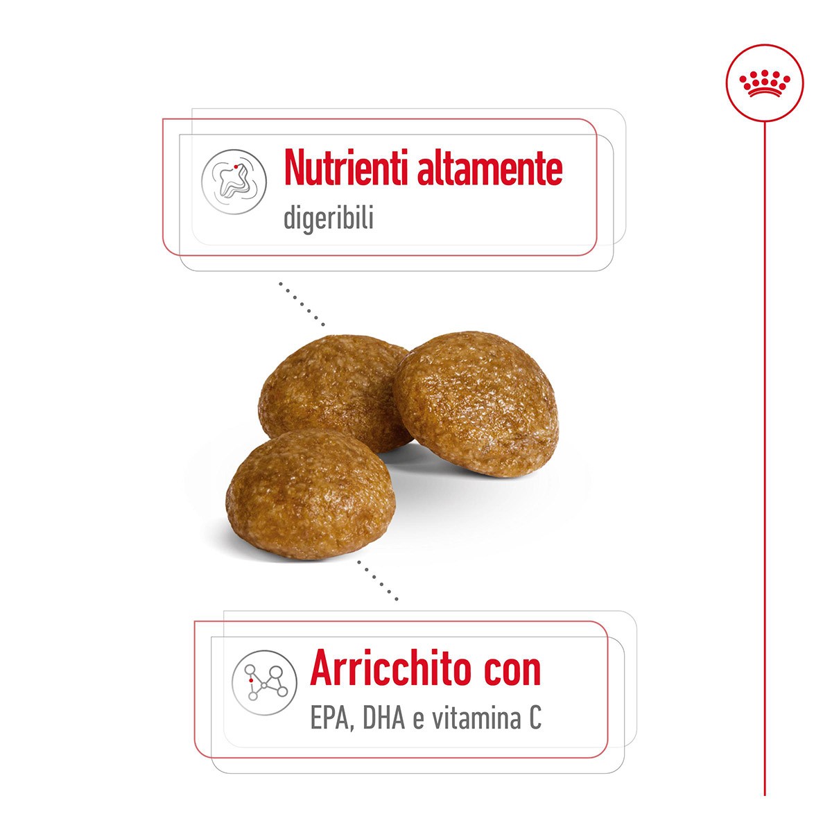 ROYAL CANINÂ® SIZE HEALTH NUTRITION X-SMALL ADULT GR 500- Alimento secco per cani di taglia piccolissima (fino a 4 kg)