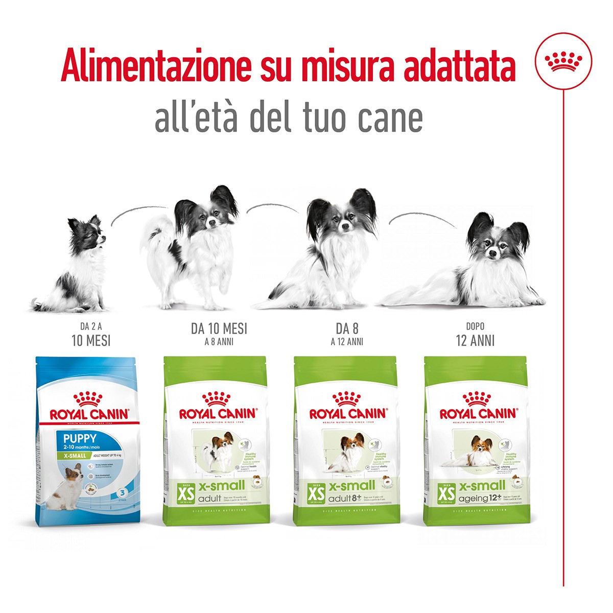 ROYAL CANINÂ® SIZE HEALTH NUTRITION X-SMALL ADULT GR 500- Alimento secco per cani di taglia piccolissima (fino a 4 kg)