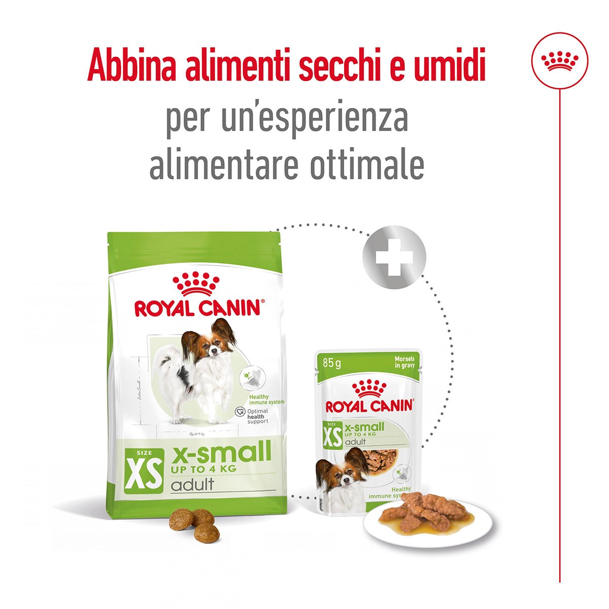 ROYAL CANINÂ® SIZE HEALTH NUTRITION X-SMALL ADULT GR 500- Alimento secco per cani di taglia piccolissima (fino a 4 kg)