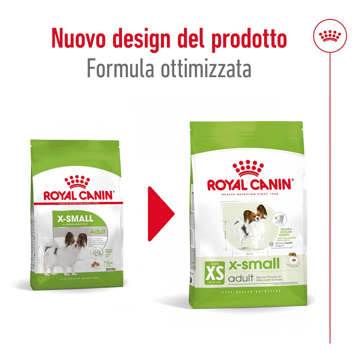 ROYAL CANINÂ® SIZE HEALTH NUTRITION X-SMALL ADULT GR 500- Alimento secco per cani di taglia piccolissima (fino a 4 kg)
