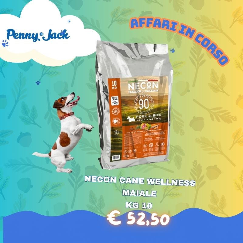 TG mini slide sito HP per mobile – Penny & Jack (3)