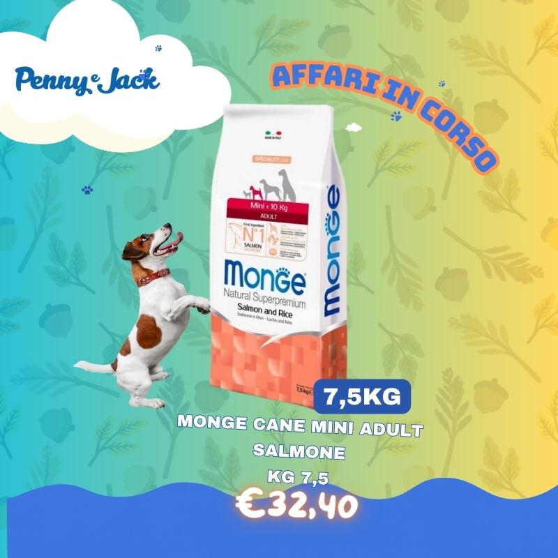 TG mini slide sito HP per mobile – Penny & Jack (4)