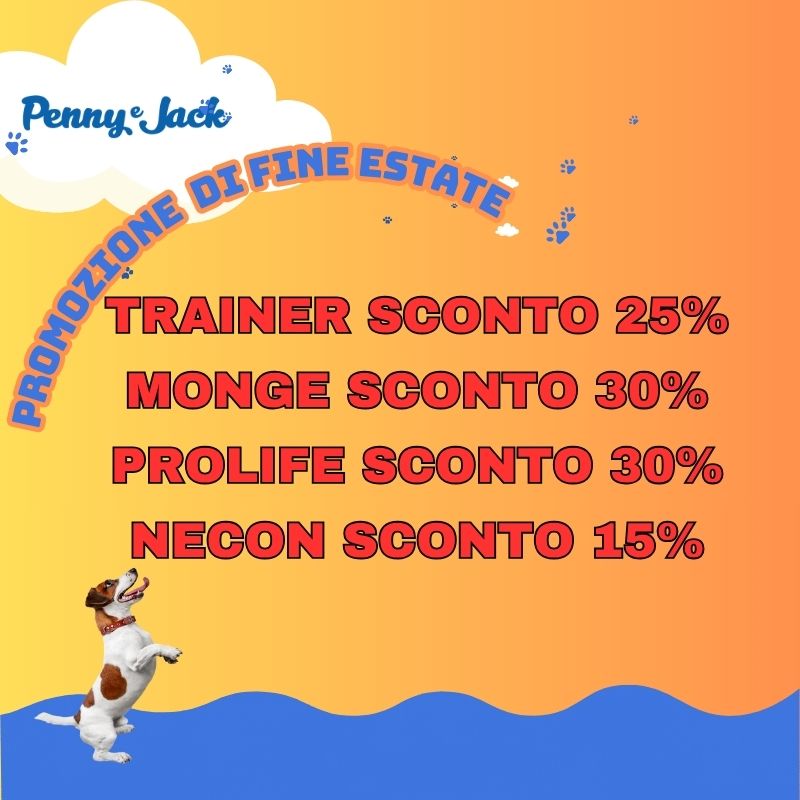 TG mini slide sito HP per mobile – Penny & Jack (11)